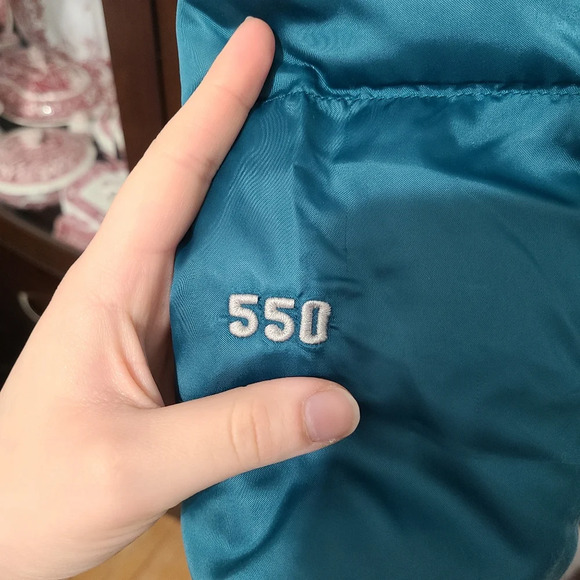 The North Face Series 550 Down Fill Puffer Jacket Teal Size Large - Flawed - Picture 3 of 16